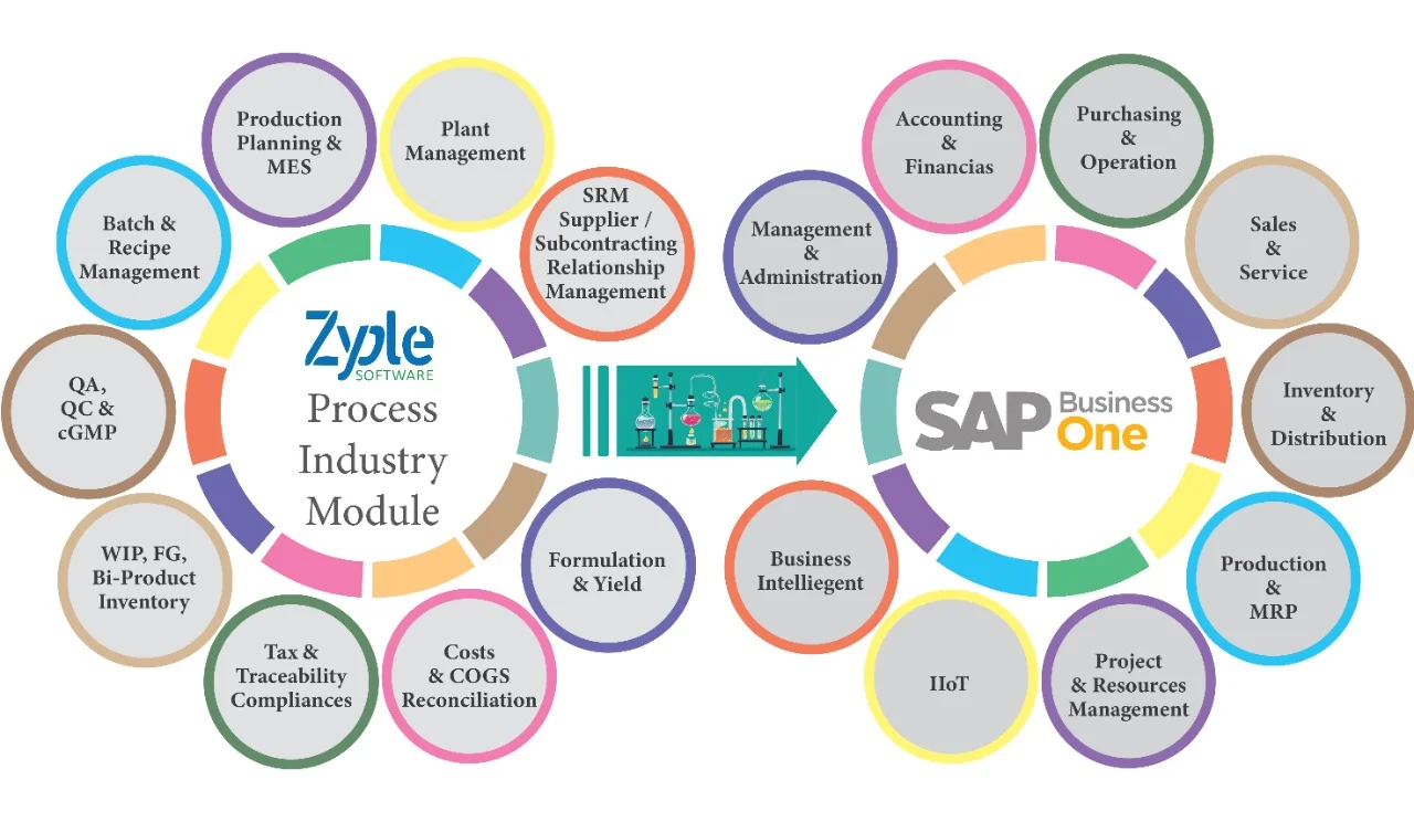 SAP business one in process industries