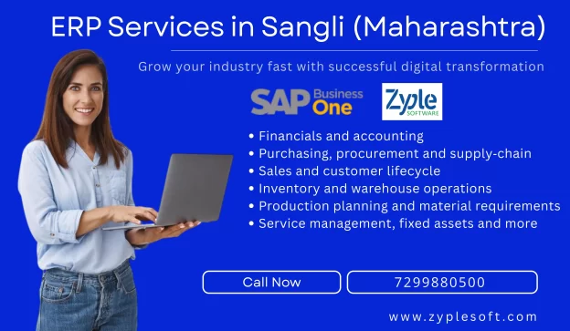 erp services in Sangli