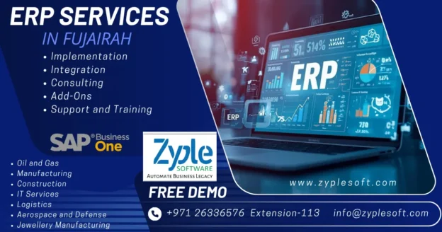 ERP Services in Fujairah