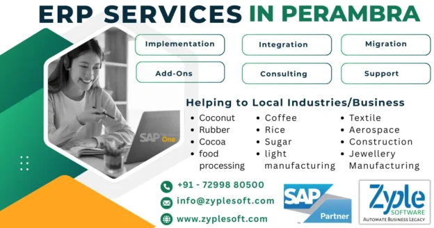 ERP Services in Perambra