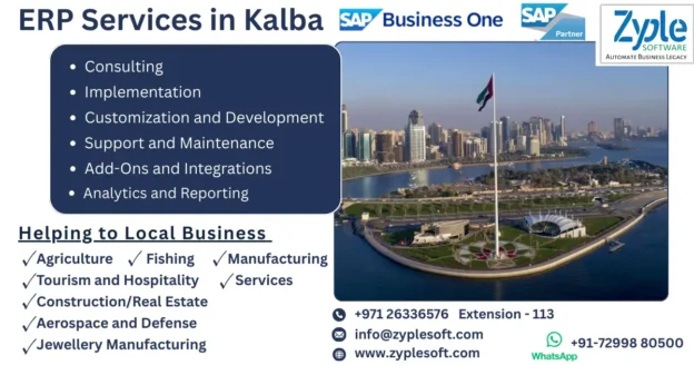 ERP Services in Kalba