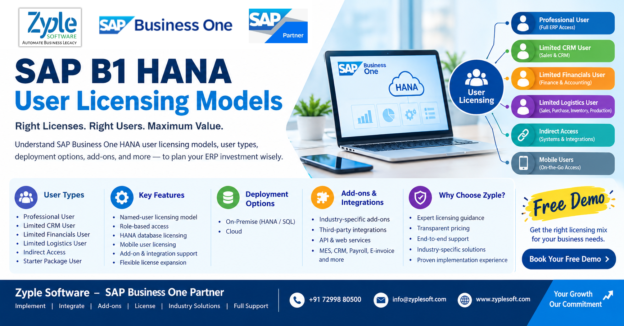 SAP B1 HANA User Licensing Models